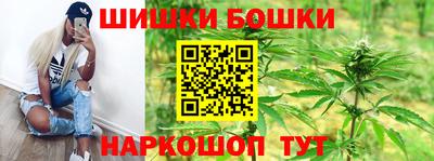 сатива Бузулук