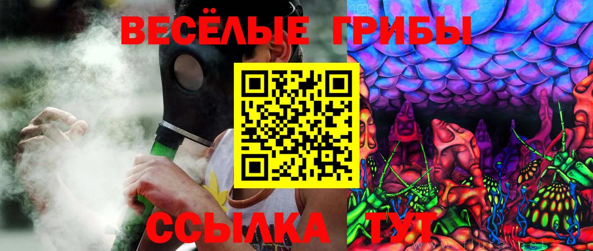 Галлюциногенные грибы Psilocybine cubensis Юрга