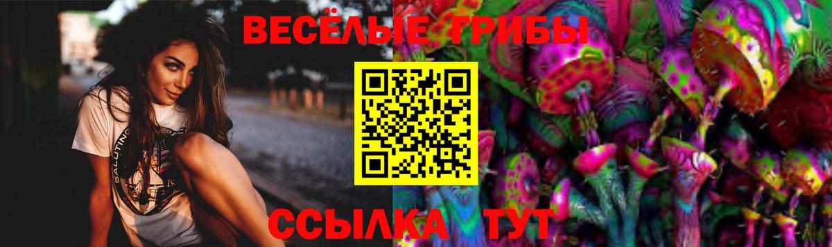 Галлюциногенные грибы MAGIC MUSHROOMS  Вход с VPN  Юрга 